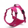 Truelove Country Training Hundsele - TLH5651