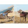 Truelove Alaska + Harness