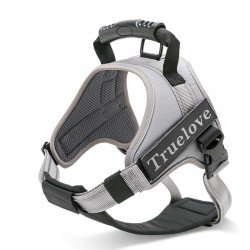 Truelove City + Hundsele - TLH5753