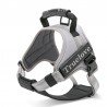 Truelove City + Hundsele - TLH5753