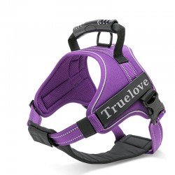 Truelove City + Hundsele - TLH5753
