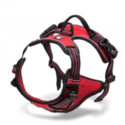 Truelove Country Training Hundsele - TLH5651
