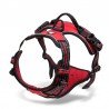 Truelove Country Training Hundsele - TLH5651