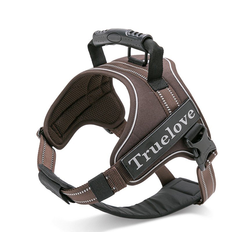 Truelove City + Hundsele - TLH5753