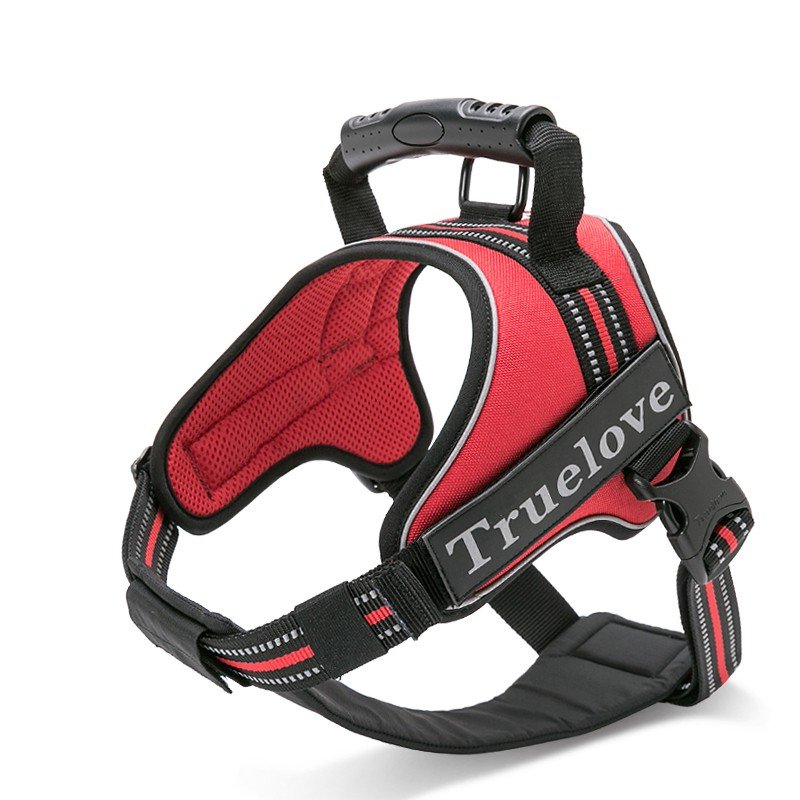 Truelove City + Hundsele - TLH5753