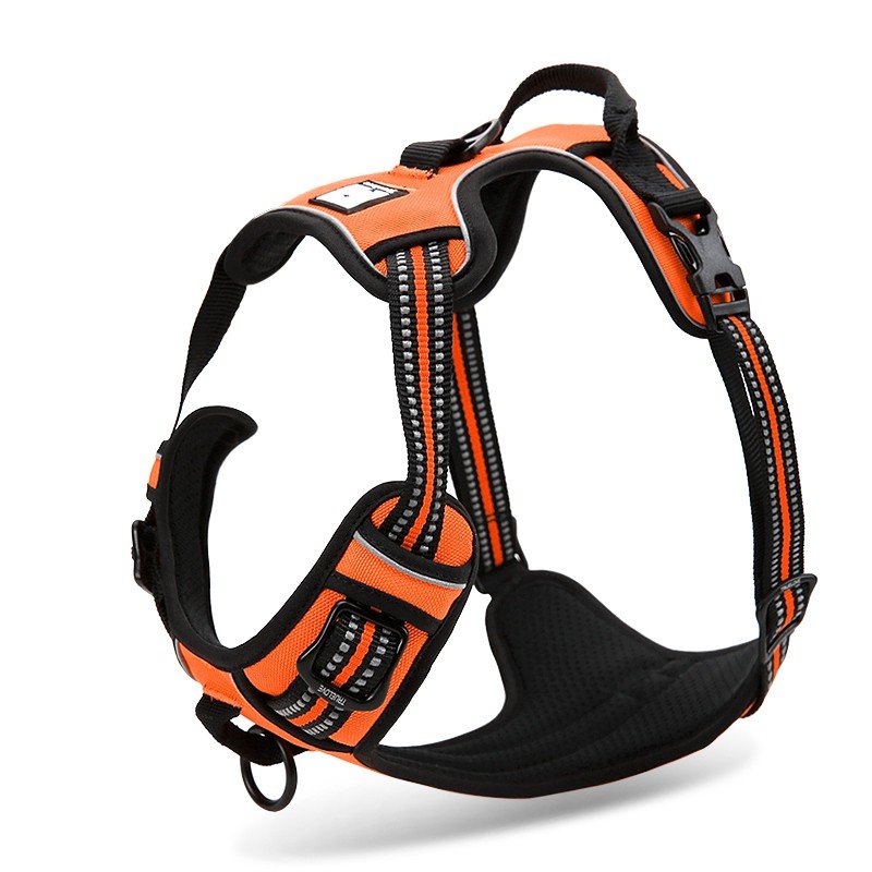 Truelove Country Training Hundsele - TLH5651