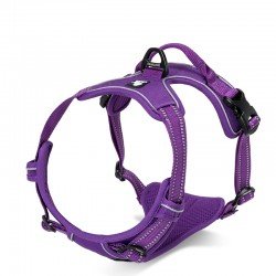 Truelove Country Training Hundsele - TLH5651