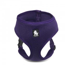 Truelove Saloon Hundsele -...