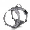 Truelove Country Training Hundsele - TLH5651