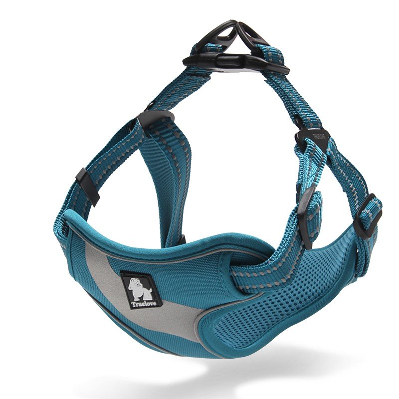 Truelove Training Hundsele - TLH5991