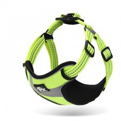 Truelove Training Hundsele - TLH5991