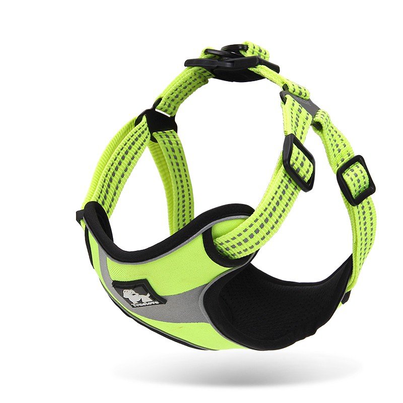 Truelove Training Hundsele - TLH5991