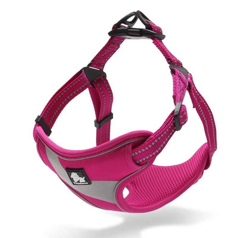 Truelove Training Hundsele - TLH5991