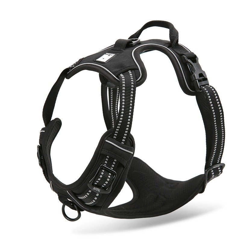 Truelove Country Training Hundsele - TLH5651