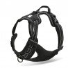 Truelove Country Training Hundsele - TLH5651