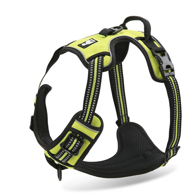 Truelove Country Training Hundsele - TLH5651