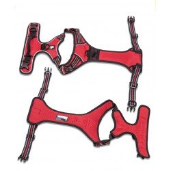 Truelove Country Training Hundsele - TLH5651