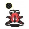 Truelove Excursion Hundsele - TLB2051