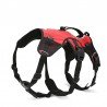 Truelove Excursion Hundsele - TLB2051