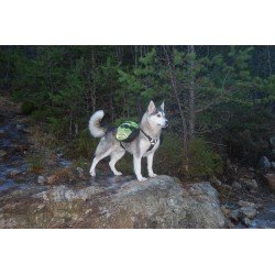 Truelove Excursion Hundsele - TLB2051