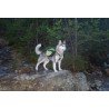 Truelove Excursion Hundsele - TLB2051