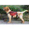 Truelove Excursion Hundsele - TLB2051