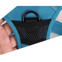 Truelove Country Training Hundsele - TLH5651