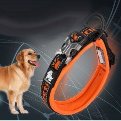 Truelove Flex + halsband - TLC50121