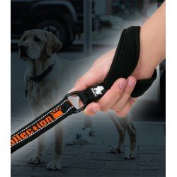 Truelove Pull + hundkoppel - TLL3071