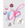 Truelove Cute Cat-halsband och koppel - TLC5311