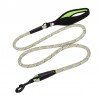 Truelove Running + hundkoppel - TLL2571