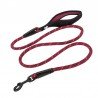 Truelove Running + hundkoppel - TLL2571