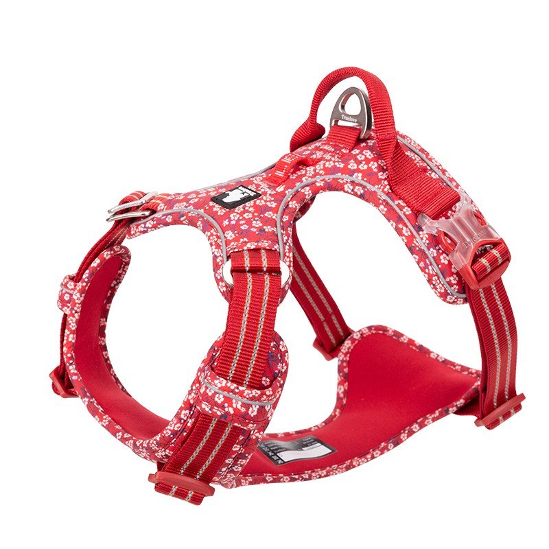 Truelove Country + Flower Hundsele - TLH5655
