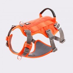 Truelove Manley hundsele - TLH7011