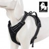 Truelove Country Training Hundsele - TLH5651